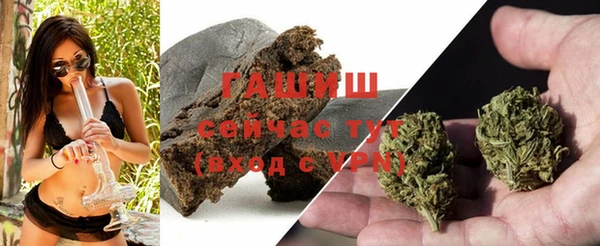 дмт Тавда