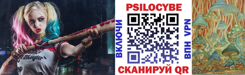 кракен ONION  Кодинск  Псилоцибиновые грибы MAGIC MUSHROOMS 